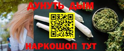 МДПВ Кингисепп